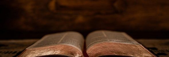 willmington’s guide to the bible
