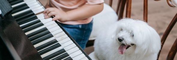 piano chord progressions pdf