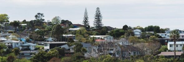 grant’s atlas of anatomy latest edition pdf