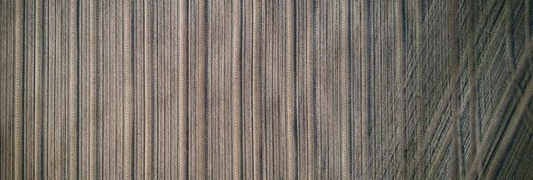 cam a line dowel guide